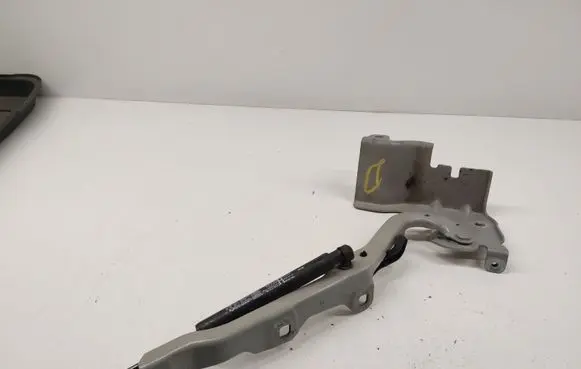 Renault Latitude (L70) Engine bonnet/hood hinges 