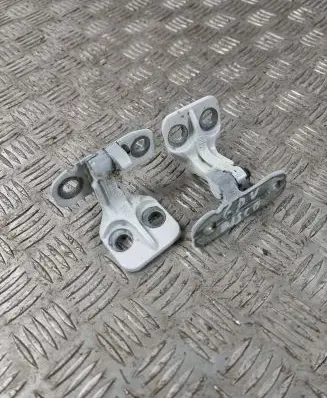 Land Rover Discovery Sport Rear door hinge set RR1AA8A 1120031
