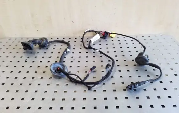 Front door wiring loom