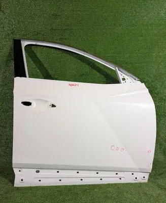 Hyundai Tucson IV NX4 Front door 