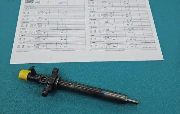 Citroen C5 Fuel injector EJBR06001D IMPRK1563104