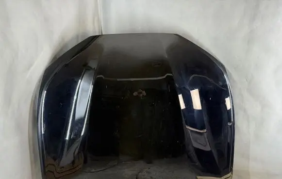 Ford Mustang Mach-E Engine bonnet/hood LJ8BR16612AG