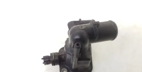 Thermostat/thermostat housing