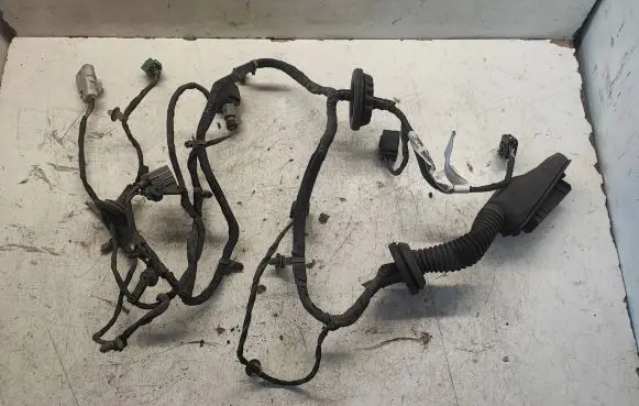 Chevrolet Camaro Front door wiring loom 84319080 ND041804002457 F0008159701