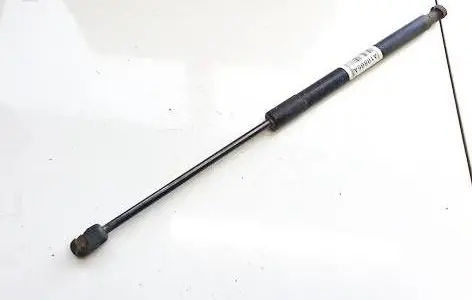 Tailgate/trunk strut/damper