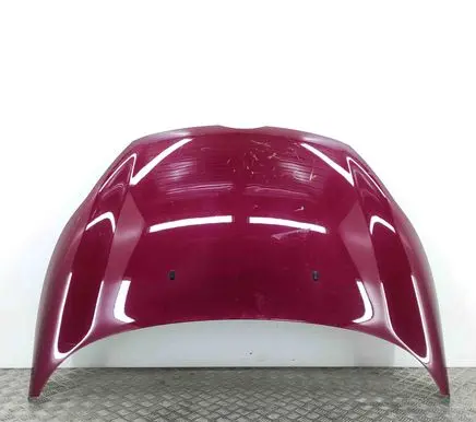 Ford Fiesta Engine bonnet/hood 1711171