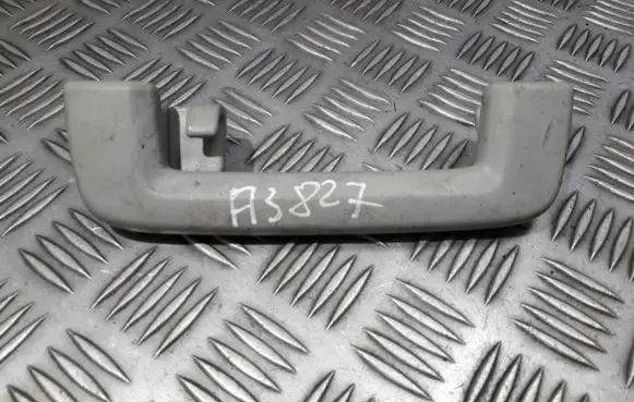 Ford Focus Rear interior roof grab handle