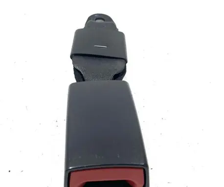 Dodge Journey Rear seatbelt buckle 6070424 1AN191DVAA 91227082