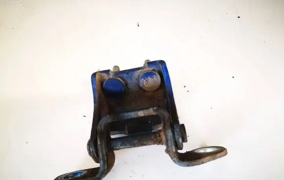 Rear door lower hinge