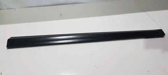 Hyundai Santa Fe Rear door trim (molding)