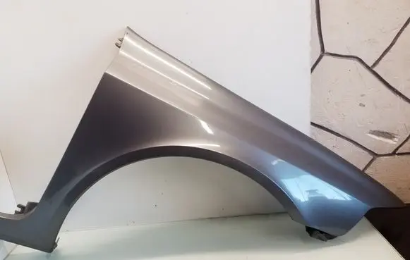 Renault Laguna II Fender