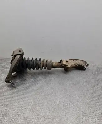 Porsche Cayenne (9PA) Front shock absorber with coil spring 7L5412022AD 7L5413032K