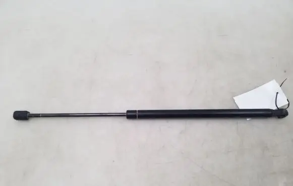 Tailgate strut