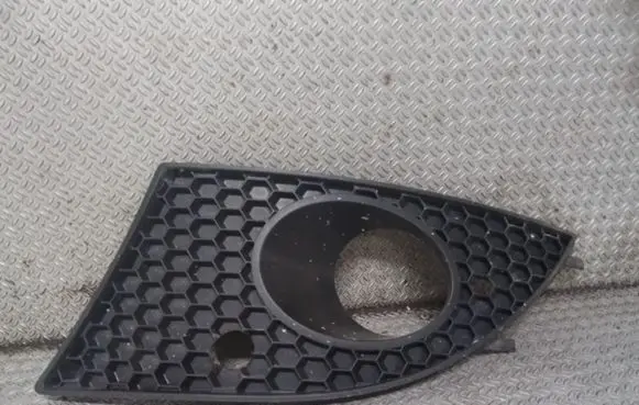 Front fog light trim/grill