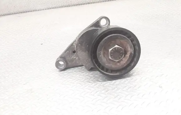 Peugeot 1007 Generator/alternator belt tensioner