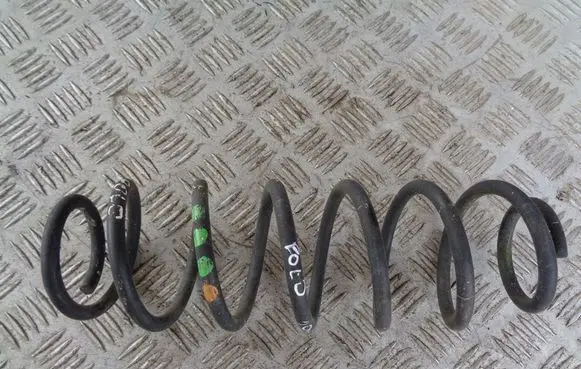 Rear coil spring