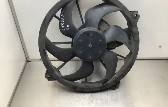 Citroen C5 Electric radiator cooling fan 216053723