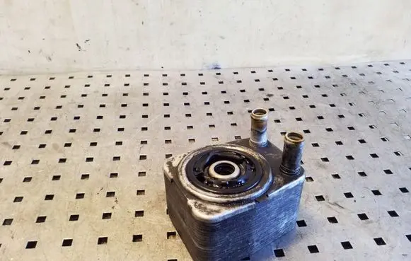 Oil filter mounting bracket