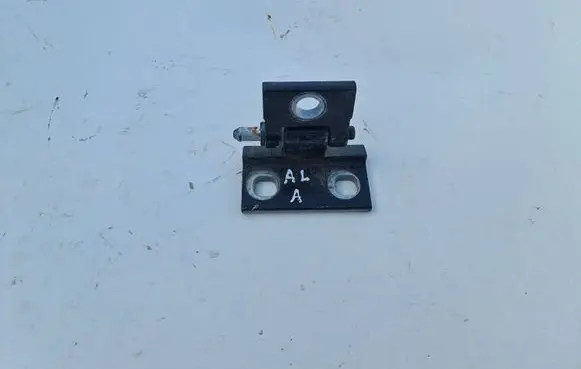 Volvo S60 Rear door lower hinge