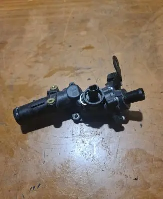 Thermostat/thermostat housing