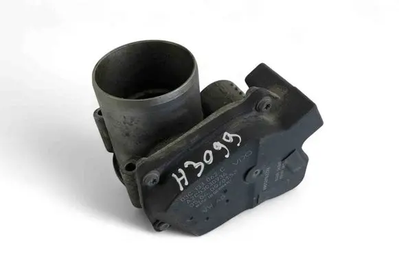 Skoda Roomster (5J) Throttle valve