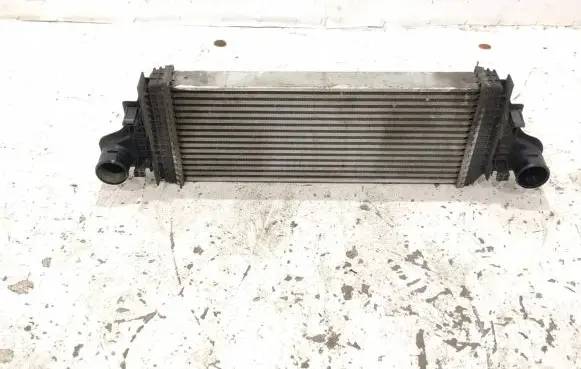 Mercedes-Benz R W251 Intercooler radiator 2515000000 1645001900