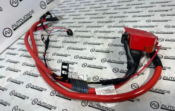 BMW 1 F20 F21 Positive cable (battery) 9253111 10304410