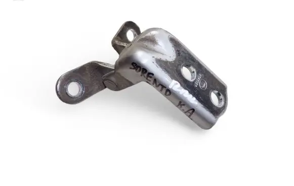 KIA Sorento Rear door lower hinge