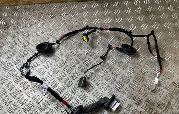 Hyundai i30 Rear door wiring loom 91650G4060