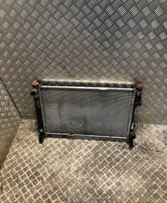 Mercedes-Benz A W169 Coolant radiator 1695001803 A1695001803