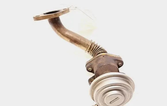 Volkswagen PASSAT B5.5 EGR valve 