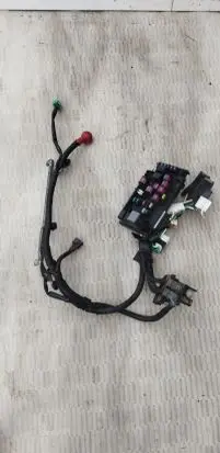 Positive wiring loom