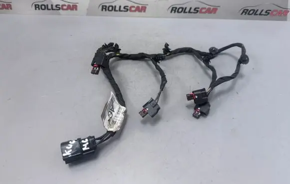Ford Kuga II Fuel injector wires DU5T9F666 A13356791 12940988000