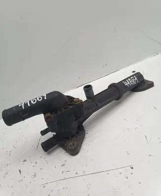 Thermostat/thermostat housing