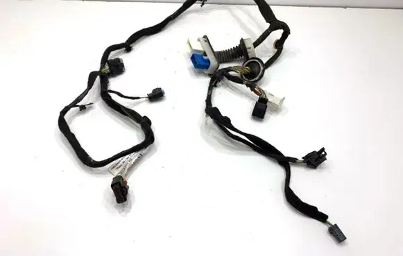 DS Automobiles 4 Front door wiring loom 9810101680