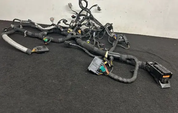 Land Rover Range Rover L405 Wiring harness 306DT