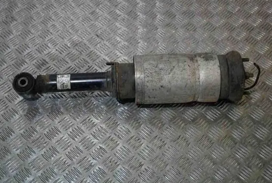 Land Rover Range Rover Sport L320 Front shock absorber/damper 22241483 RNB501310