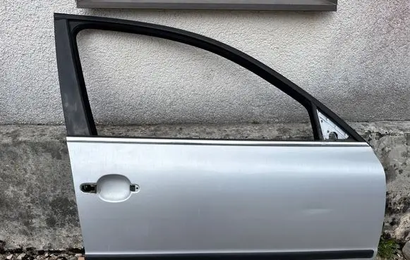 Volkswagen PASSAT B5.5 Front door 