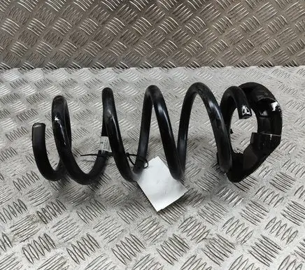Tesla Model Y Rear coil spring 118847900A