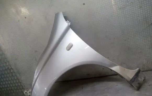 Fender