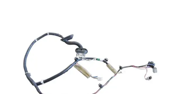 Rear door wiring loom