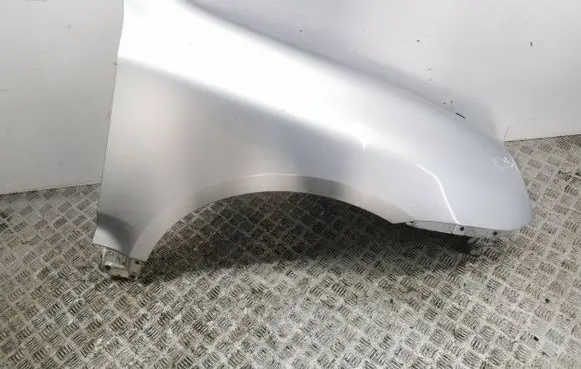 Porsche Cayenne (9PA) Fender