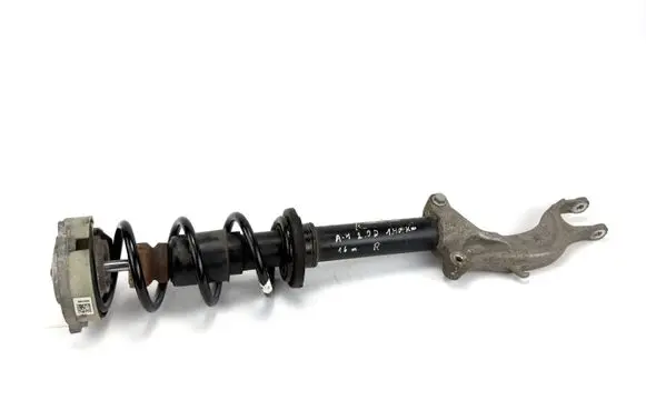 Audi A4 S4 B9 Front shock absorber with coil spring 8W0413031BA 844905001333 8W0413037
