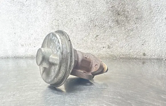 Opel Antara EGR valve