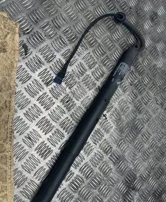 Tailgate/trunk strut/damper