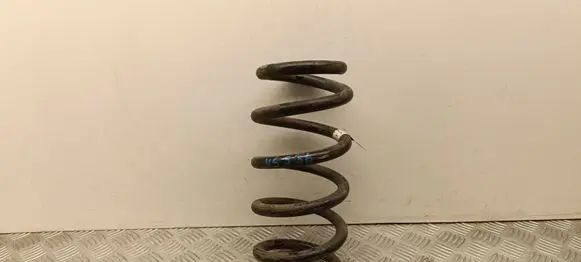 Tesla Model Y Rear coil spring 228847400A