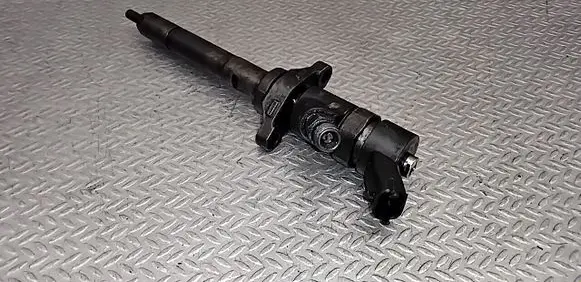 Citroen C4 I Fuel injector 0445110188