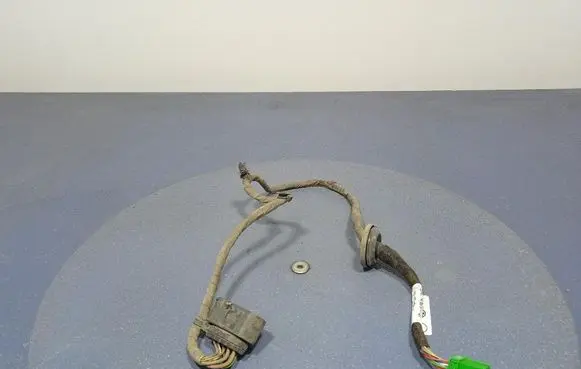 Other wiring loom