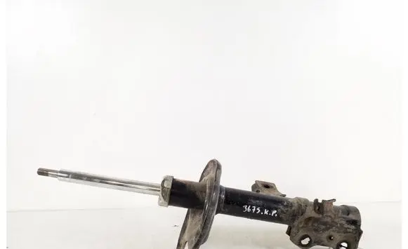 Toyota RAV 4 (XA30) Front shock absorber/damper 48520-80072