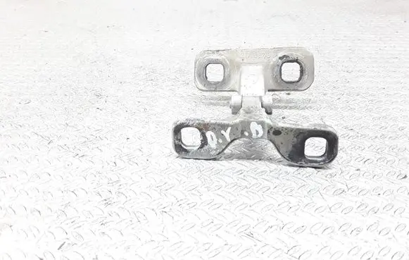 BMW X5 E53 Tailgate/trunk/boot hinge